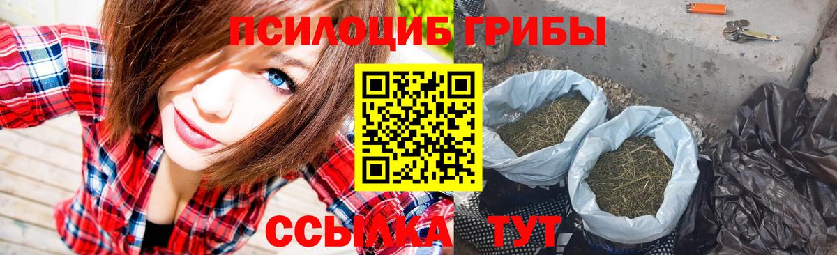 Галлюциногенные грибы Magic Shrooms Майкоп