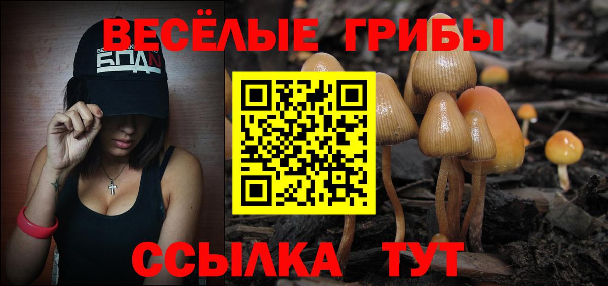 Псилоцибиновые грибы GOLDEN TEACHER  Галлюциногенные грибы мухоморы  Вход с VPN  Майкоп 